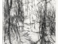 IMG_4961