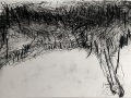 IMG_7011