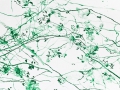 wald_03